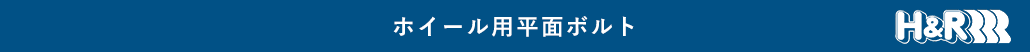 シトロエン＆プジョーホイール用平面ボルト